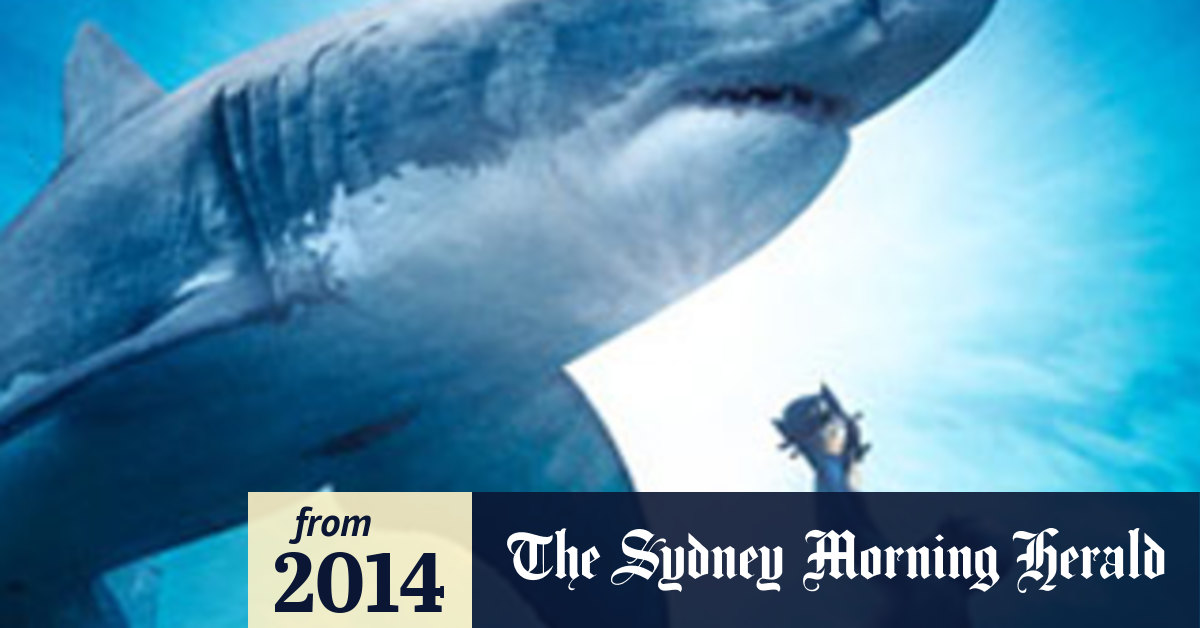 Great White Shark review: 'Monsters' of the deep celebrated
